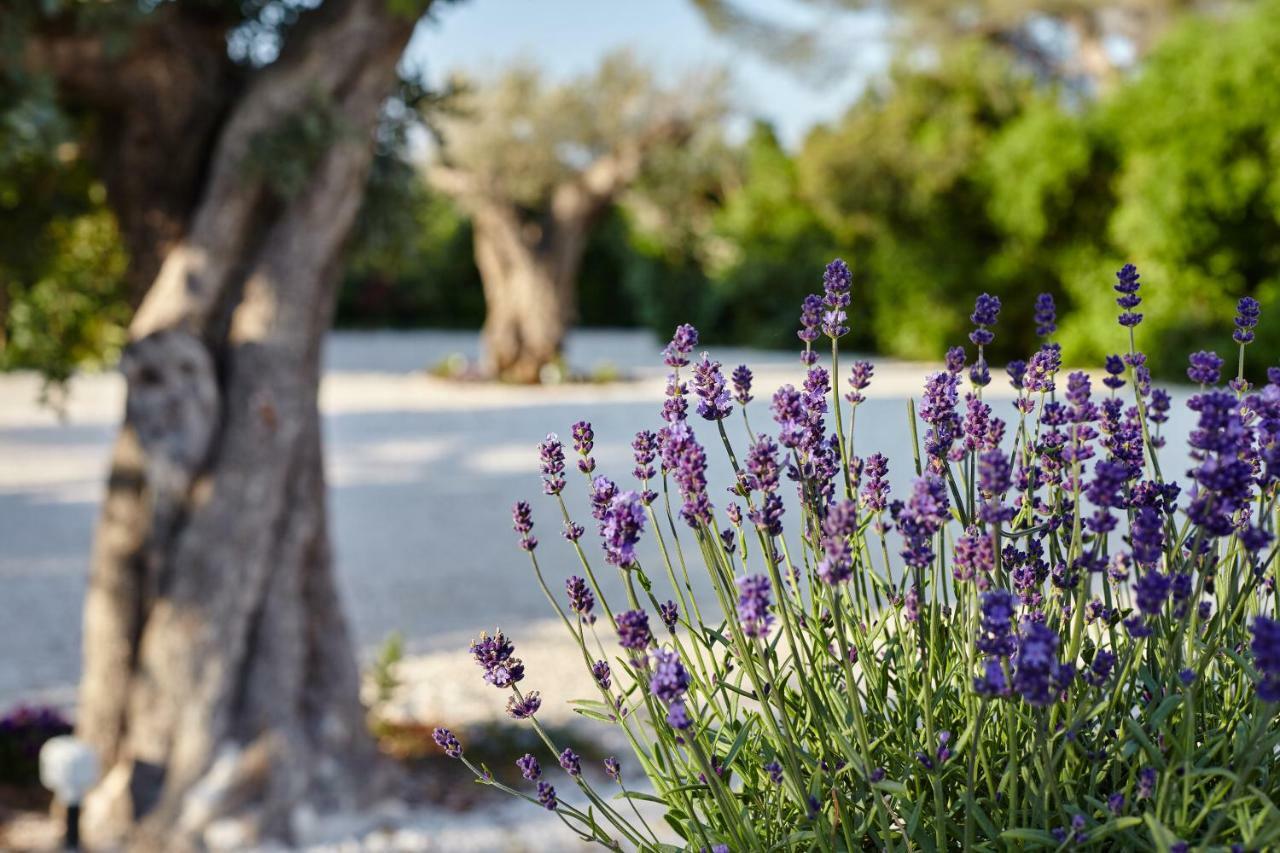 Bed and Breakfast Agapanto Masseria Конверсано Экстерьер фото